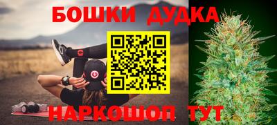 индика Аша