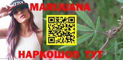 индика Аша
