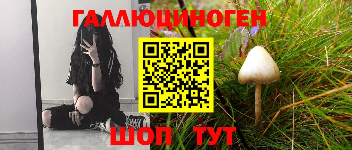 Псилоцибиновые грибы Magic Shrooms  цены наркотик  Кириши  Псилоцибиновые грибы GOLDEN TEACHER  Вход с VPN 